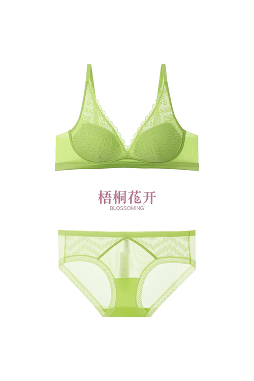 一件轻薄内衣 梧桐花开让夏天凉一点