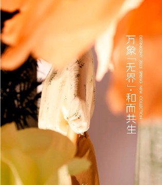 迪凯,新品,发布会