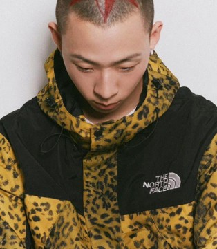 Casestudy,THE NORTH FACE,豹纹联名