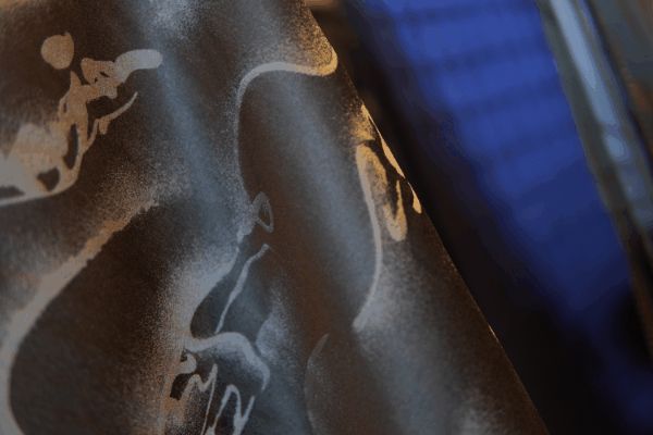 FS Plus 全國巡回「定制交流會」深圳站圓滿舉行