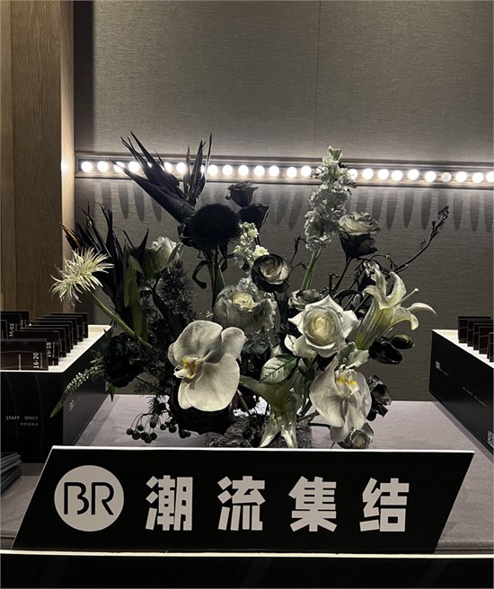学无止境 BR美丽哲学举办风格和色彩搭配知识培训会