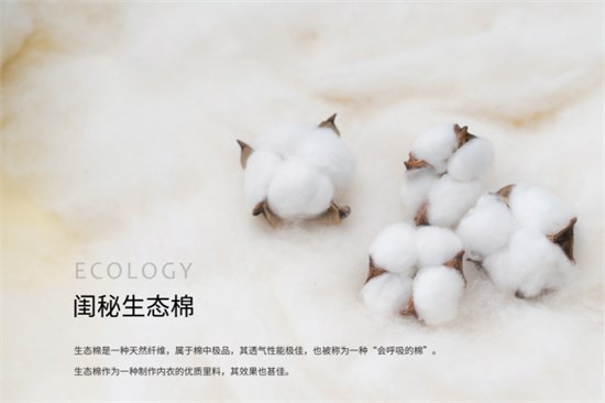 闺秘品牌内衣 如呼吸般舒适自在的选择