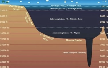 神话三千年，欧米茄海马系列手表与海皇深海对话