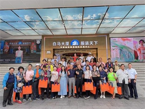 深度解析：广州白马五星级商品交易市场的成功之道