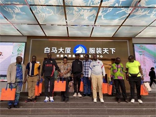 深度解析：广州白马五星级商品交易市场的成功之道