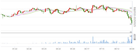 丝价继续下挫成交积极 广西宜州秋二茧批量上市