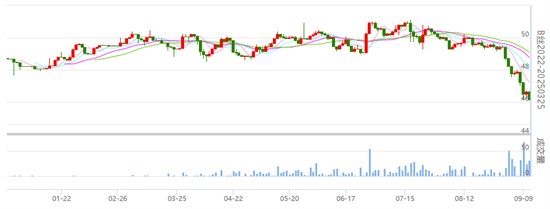 关注：丝价继续下挫 全场仓量增加