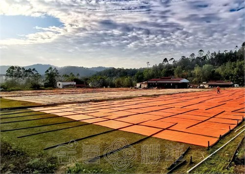 广东时装周秀场预告丨云喜纱华·山河秀色