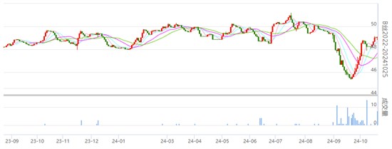 丝价继续震荡 241025合约终盘收于49.08万元