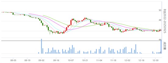 丝价小幅收红 成交放大年前布局加大