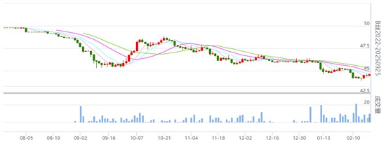 丝价小幅波动 现货仍受传统需求季支撑