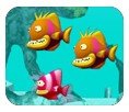 综合体育app官方入口下载截图4