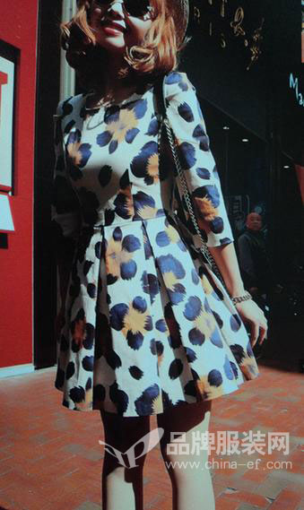 猫咪服饰产品展示