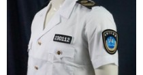 国领标志服