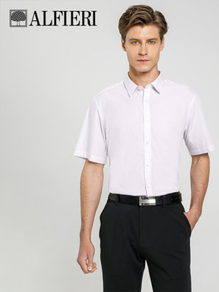 艾法利男装品牌2021春夏条纹明门筒商务短袖男士衬衫