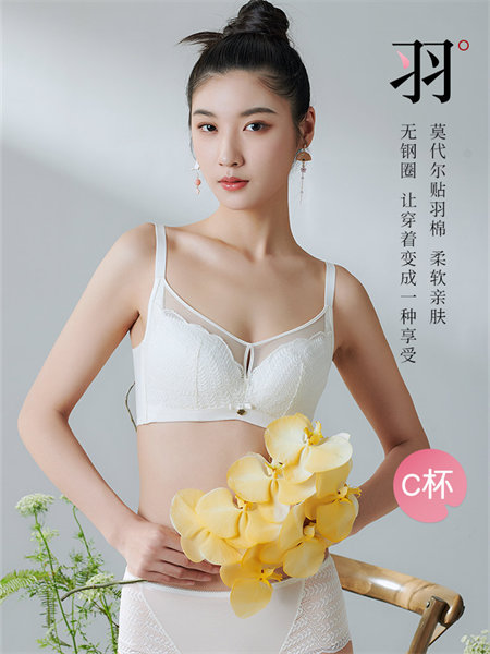 秀黛内衣品牌2021秋冬大胸显小缩胸内衣女上托无钢圈